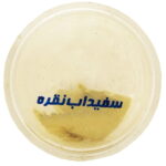 سفیداب نقره بارنبو